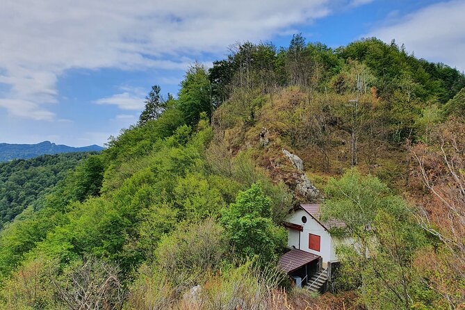 One-Day Vlad the Impaler Royal Court Private Tour from Bucharest - Poenari Castle, the Vlad fortress climb you will feel in your legs