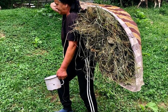 Original Carpathian Village Experience and Sinaia in one day tour - Morning Pickup, Small Group Energy, And the 9:00 Start