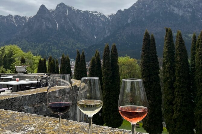 Peles & Cantacuzino Castles: Gourmet Wine & Cultural Day trip - Stop 3: Cantacuzino Castle Terrace Wine Tasting and 3 Romanian Wines