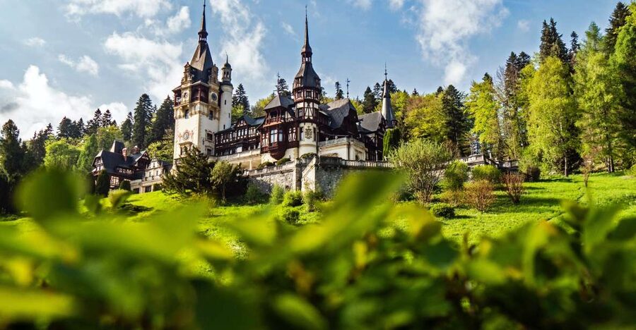 Peles & Cantacuzino Castles: Gourmet Wine & Cultural trip - Key highlights at a glance