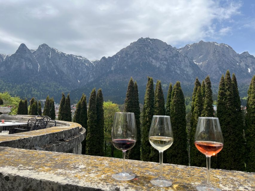 Peles & Cantacuzino Castles: Gourmet Wine & Cultural trip - Cantacuzino Castle: Neo-Romanian charm with gardens and panoramic views