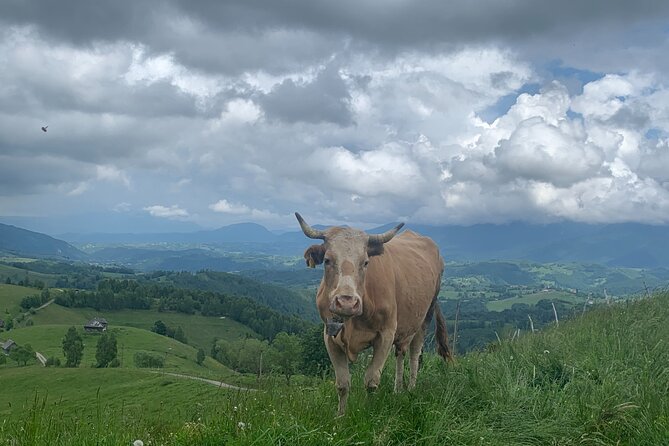 Peles castle and authentic Romanian village experience - day trip - From castle gardens to Secăria village life