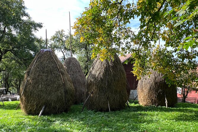 Peles castle and authentic Romanian village experience - day trip - Lunch at a local home: why this part feels different