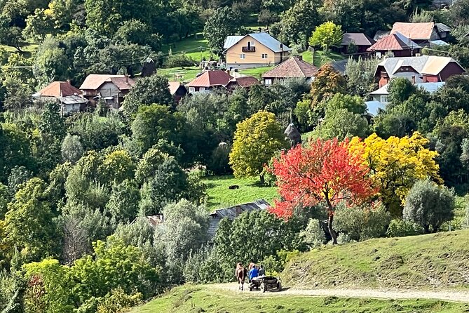 Peles castle and authentic Romanian village experience - day trip - Barajul Paltinu: a short lake stop that actually earns its place