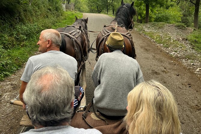Peles castle and authentic Romanian village experience - day trip - Start in Bucharest: pickup, timing, and the drive context