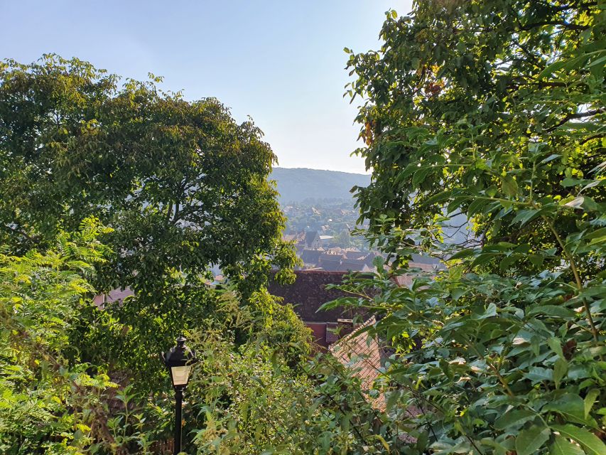 Peleș Castle, Bran Castles and Brasov City - Private Tour - Mount Tampa Natural Park and Postavaru Peak views