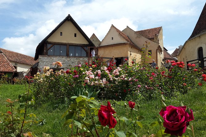 Premium Private 3-Day Best of Transylvania Tour Bucharest Hotel Pick Up/Drop Off - Tickets, meals, and what you should budget for