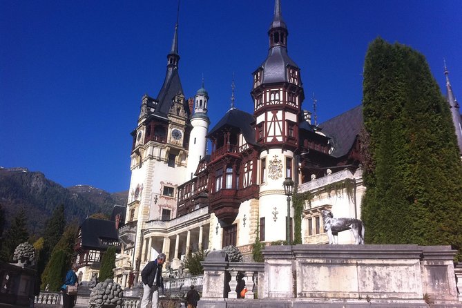 Private 4-Day Tour in Transylvania including Transfagarasan Road from Bucharest - Day 4: Zărnești bear sanctuary and Snagov Monastery by Bucharest