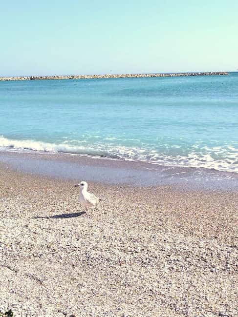Private Bucharest Tour: Discover Constanța & Black Sea Coast - Museum of Archaeology and History: Greek-Roman Finds You Can Actually See