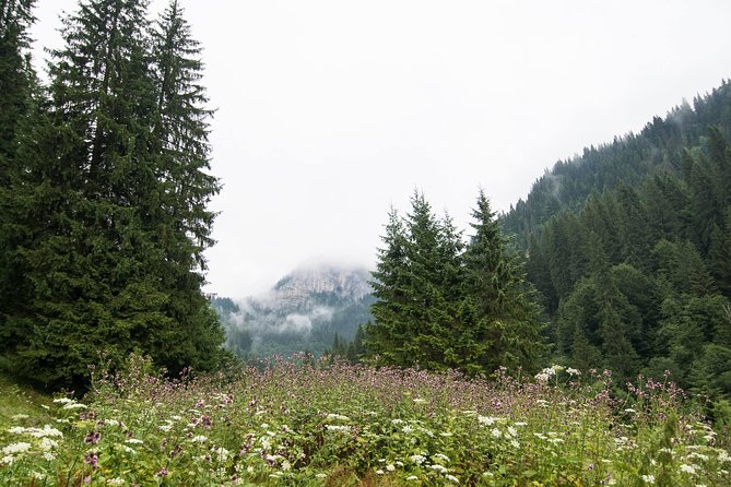 Private Daytrip Hike to Bucegi Mountains - Leaving Bucharest at 9:00 am in a red Dacia Duster SUV