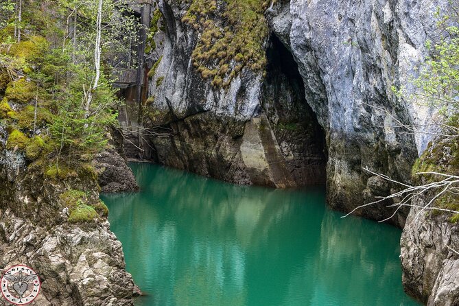 Private Daytrip Hike to Bucegi Mountains - Zănoaga Gorge: the forest walking that makes it feel like a true hike