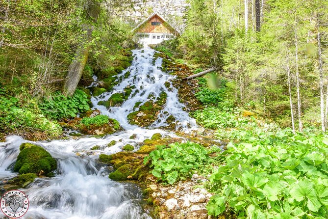 Private Daytrip Hike to Bucegi Mountains - Private tour value: who this Bucegi day hike is best for