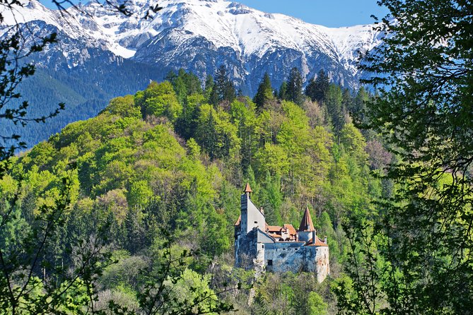 Private Movie Castles at Peles, Cantacuzino and Bran Castle Tour - Key Highlights to Know Before You Go