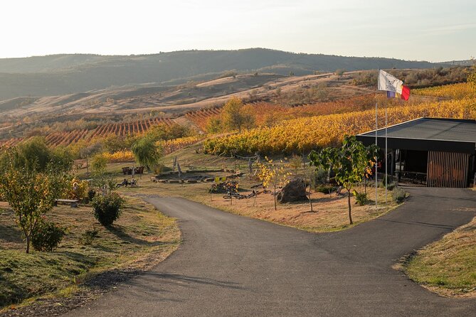 Private Tasting Expedition Along Romania’s Most Famous Wine Route - Key highlights worth planning for