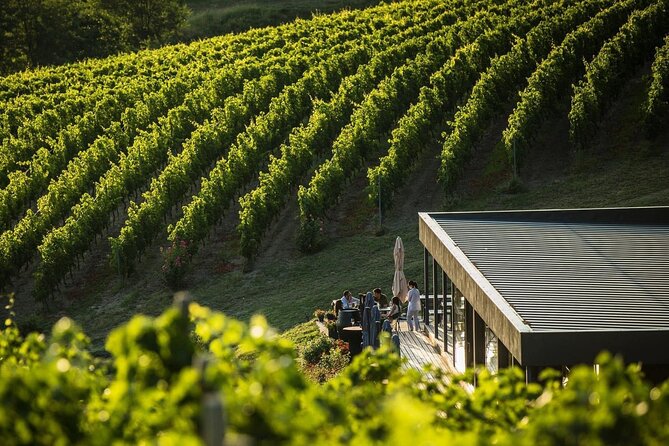 Private Tasting Expedition Along Romania’s Most Famous Wine Route - The winemaking atmosphere: more than sipping, it’s sensory education