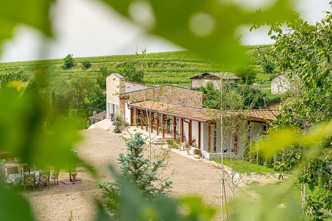 Private Tasting Expedition Along Romania’s Most Famous Wine Route - Price and value: what $325.80 buys you in real terms