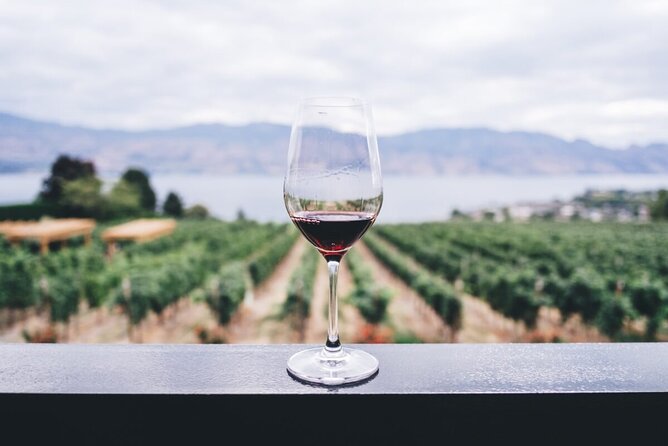 Private Tasting Expedition Along Romania’s Most Famous Wine Route - Two cellars and tastings: what you’re really paying for