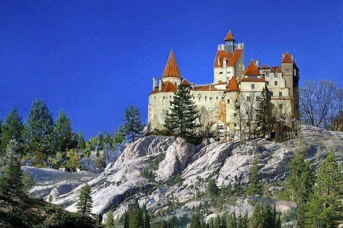 Private Tour to Dracula's Castle, Brașov City & Peleș Castle - Bucharest Hotel Pickup and the Real Value of Private Transport