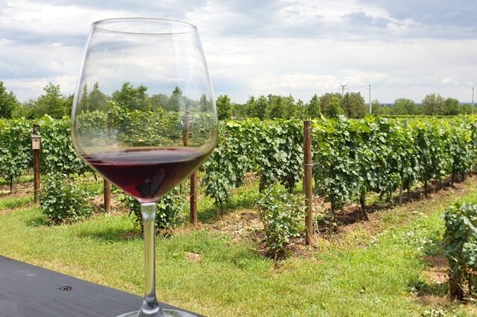 Private Wine Tasting in Cellar and the Winemaking process - What Makes the Stops Work Together (and Who This Tour Suits)