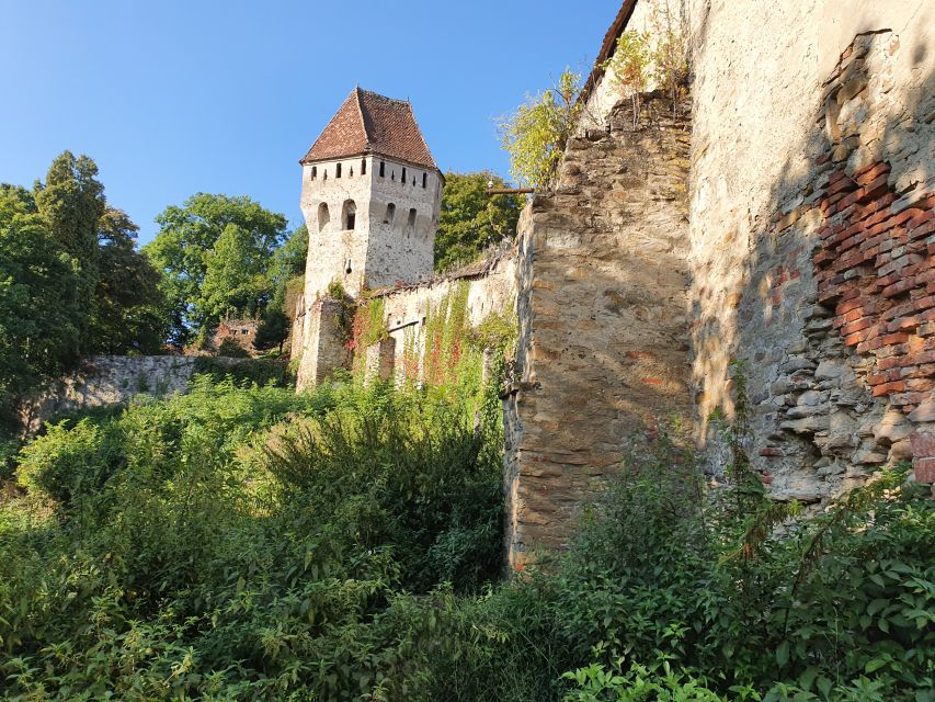 Real Dracula Princely Court and Real Dracula's Fortress - Price and Value: What $323 Gets You