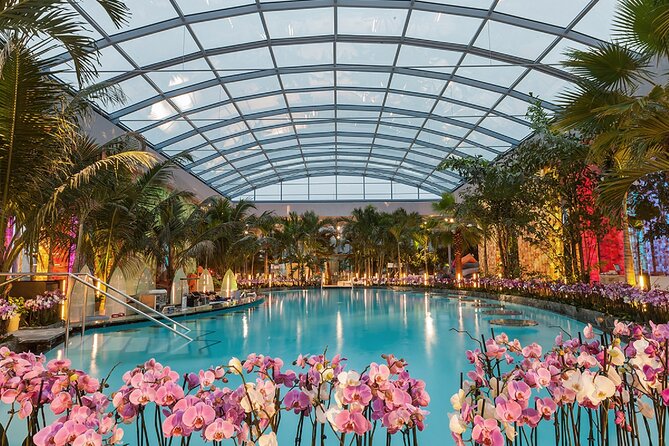 Relax and Fun at Thermal Spa Bucharest (Admission Ticket) - Key Things to Know Before You Go to Therme Bucharest