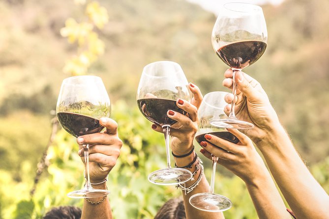 Romanian Wine Tasting - Key Highlights Worth Prioritizing