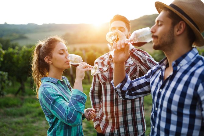 Romanian Wine Tasting - Stop 1: LacertA Winery and the Wine-Making Story Behind the Pour