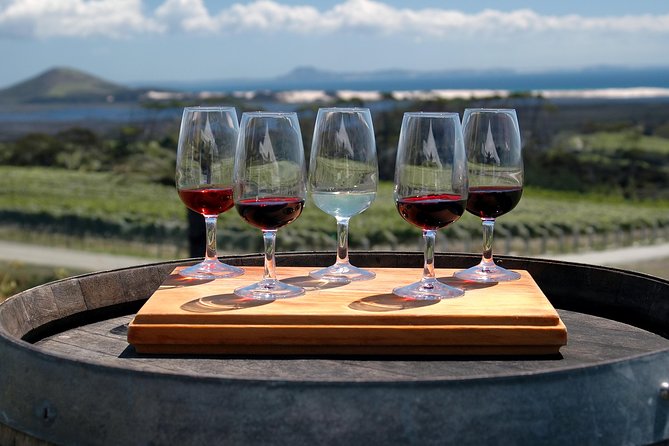 Romanian Wine Tasting - What You Actually Taste: 10+ Types, Plus Snacks to Keep You Moving
