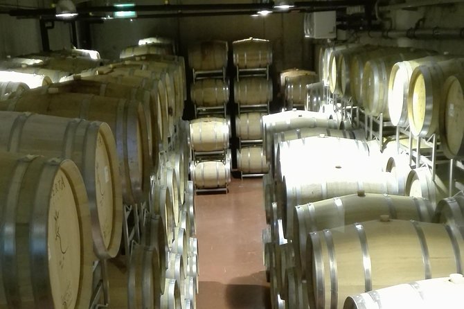 Salt Mine & Mud Volcanoes - LacertA Winery private tasting: a modern look at how wine gets made