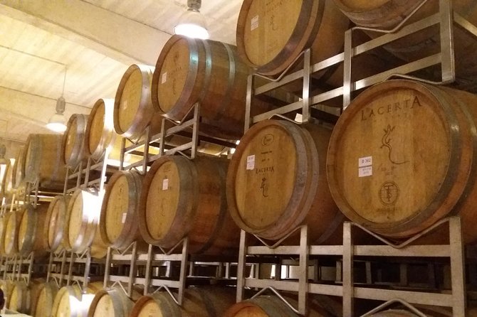 Salt Mine, the Muddy Volcanoes and Wine Tasting Private Day Tour from Bucharest! - Lacerta Winery in Fintesti: tasting along the 45th parallel