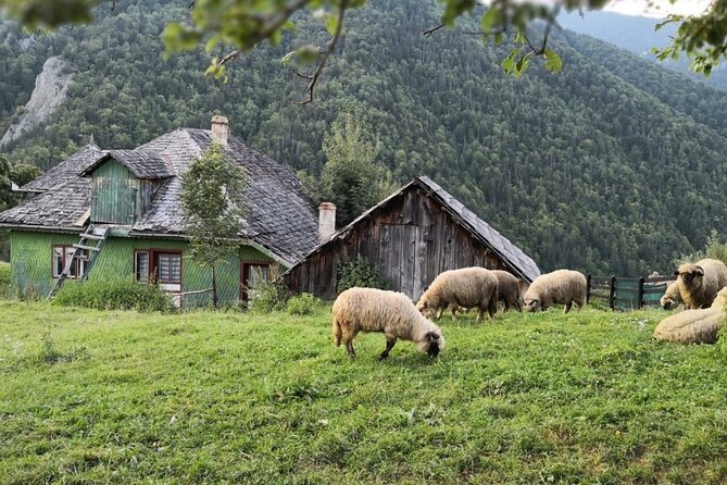 Slanic Salt Mines & Village Charms: Bucharest Day Escape - Slanic Salt Museum Underground: What Your Two Hours Down There Will Be Like