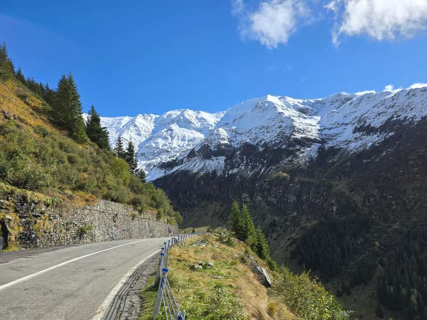 Small group Bears 'Safari' on Transfăgărășan -max 7 tourists - Brown bears on the road: how to think about your odds