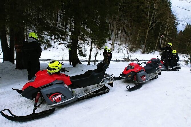 Snowmobiles, Sky Lift & Winter Sports - Private Tour - Snowmobile Basics: Two-Person Machines and Forest Riding