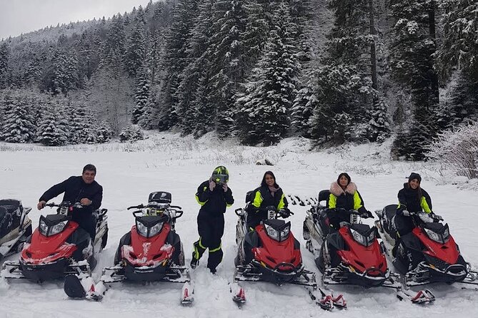 Snowmobiles, Sky Lift & Winter Sports - Private Tour - Sky Lift and Winter Sports: What You Can Confirm Before You Go