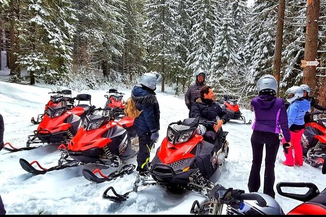 Snowmobiles, Sky Lift & Winter Sports - Private Tour - Cost and Value: $155.33 Is Not the Whole Snowmobile Story