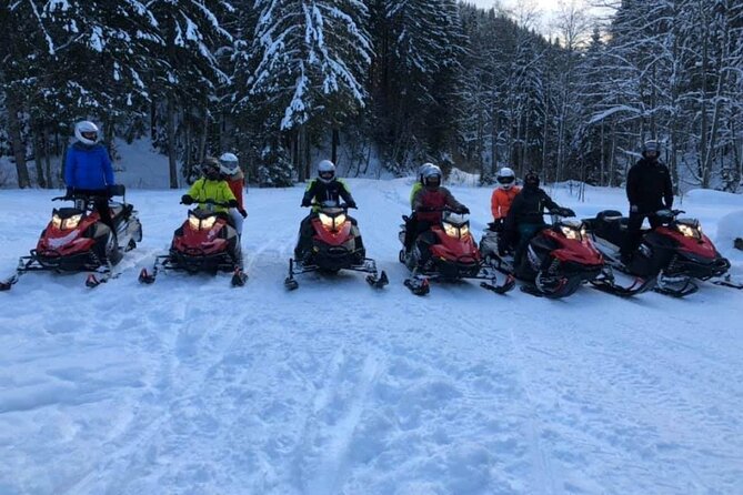 Snowmobiles, Sky Lift & Winter Sports - Private Tour - Lunch and Winter-Day Planning: Don’t Assume You’ll Eat on Site