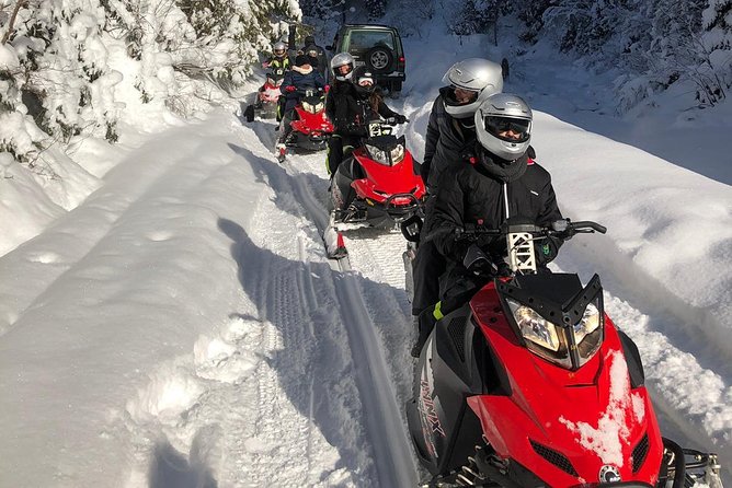 SnowMobiles Tour in Carpathian Mountains - Carpathian snowmobile fun plus Romania stops in one day