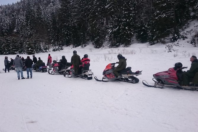SnowMobiles Tour in Carpathian Mountains - Value and price: is $229.30 a good deal?