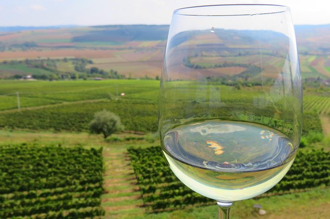 The wine route by bike - Key Points Before You Pedal