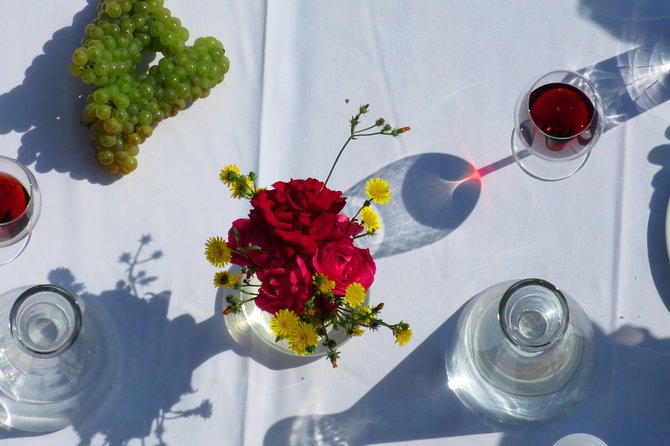 The wine route by bike - Bellu Manor: Starting with a Family Museum Stop