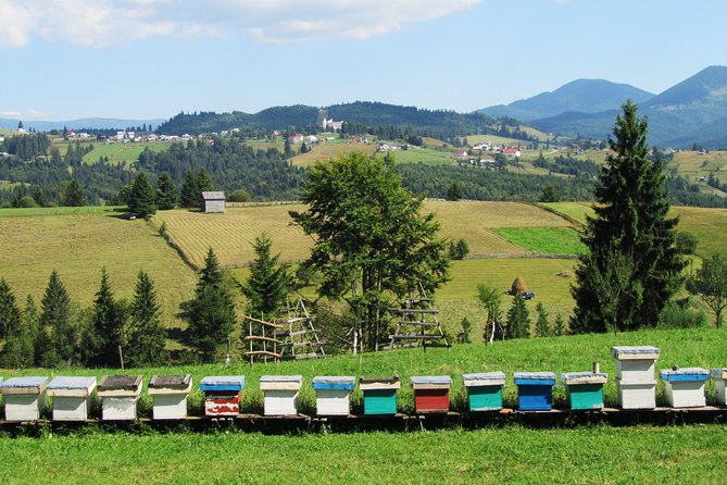 The wine route by bike - Crama Serve Ceptura: A French Connection and a Second Tasting Nearby
