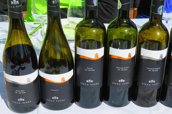 The wine route by bike - The Route Experience: Roads, Distances, and Pace You Can Plan Around