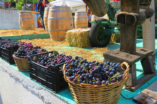 The wine route by bike - Rotenberg Winery Ride: Paved Roads, Optional Gravel, and Gravitational Winemaking