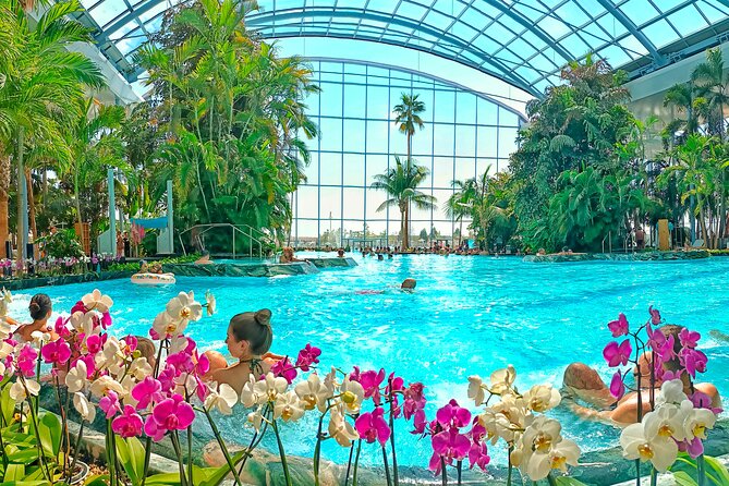 Therme Bucharest Tickets and Water Theme Park - Palm zone: tropical gardens, heated pools, and a natural sand beach