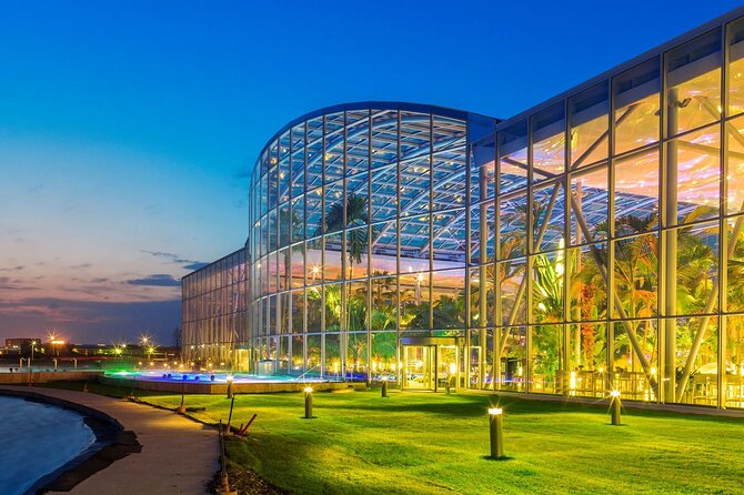 Therme-entrance ticket and transfer pick-up/drop-off Bucharest - Palm zone: steam rooms, mineral pools, and a slower vibe
