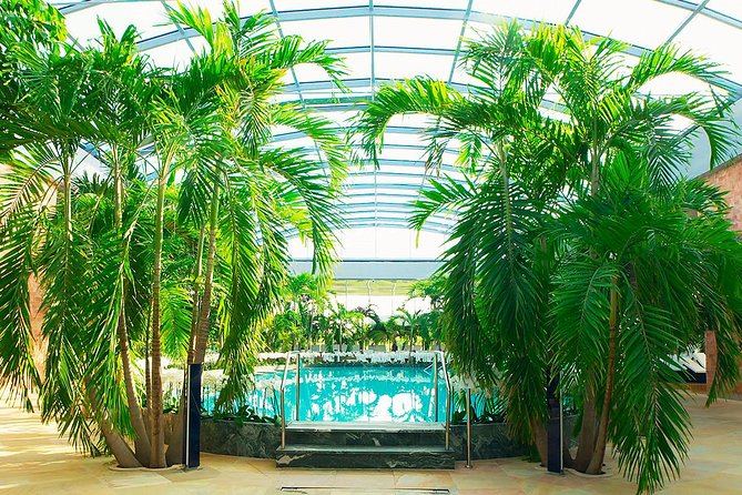 Therme Spa Ultimate Experience | Transfer - Full Access All Areas - Transfer from central Bucharest, and why the driver detail matters