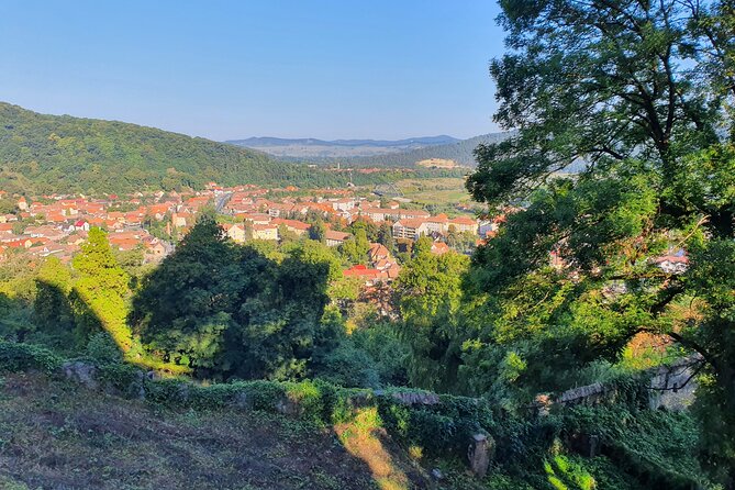 Tour of Bran CASTLE + Peles Castle + Brasov City from Bucharest - Private TOUR - Timing tips for a smooth 10 to 12 hour castle day