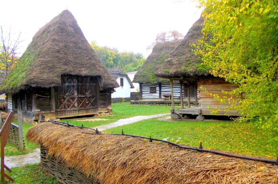 Traditions in Bucharest: Village Museum and Wine Tasting - Wine Tasting with Context, Not Just Samples