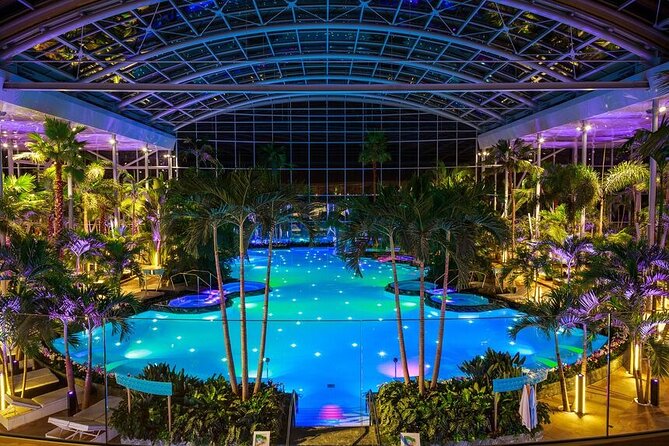 Transfer and Full Access All Day at Therme Spa Bucharest - Therme Bucharest in One Day: Galaxy, Palm, Elysium
