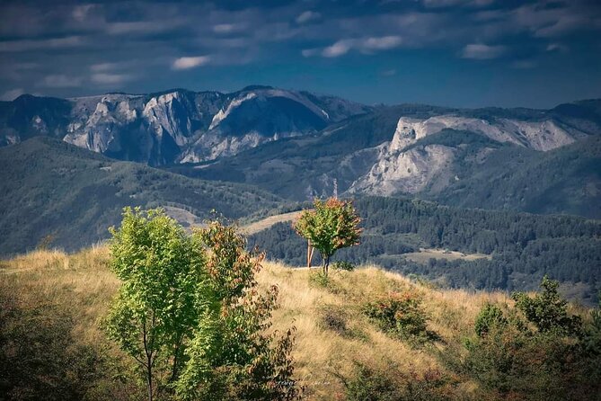 Transfer Bucharest -Brasov with Targoviste and Bran Castle visits - Brasov Old Town With Your Guide: Turning Stops Into a Story